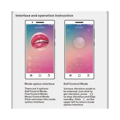 Pretty Love Boules De Geisha Vibrantes Elvira Violet -FÉMINITÉS boutique boules de geisha vibrantes elvira violet 3