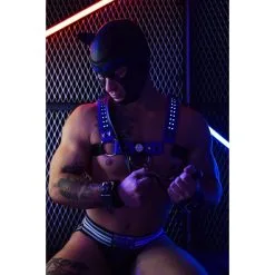 Cagoule PUPPY POUNDTOWN Breedwell Bleue -FÉMINITÉS boutique cagoule puppy poundtown breedwell bleue 2