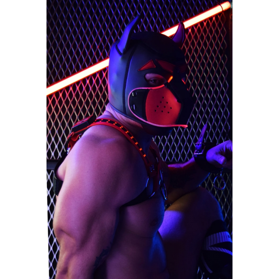 Cagoule PUPPY POUNDTOWN Breedwell Rouge 3 Cagoule PUPPY POUNDTOWN Breedwell Rouge – Image 3