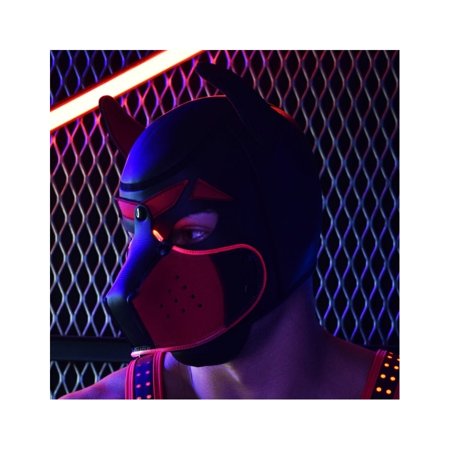 Cagoule PUPPY POUNDTOWN Breedwell Rouge 1 Cagoule PUPPY POUNDTOWN Breedwell Rouge