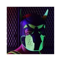 Cagoule PUPPY POUNDTOWN Breedwell Vert Neon