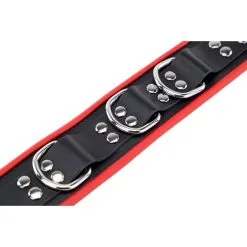 The Red Collier En Cuir 3 Anneaux D Rouge 16 The Red Collier En Cuir 3 Anneaux D Rouge -FÉMINITÉS boutique collier en cuir 3 anneaux d rouge 7