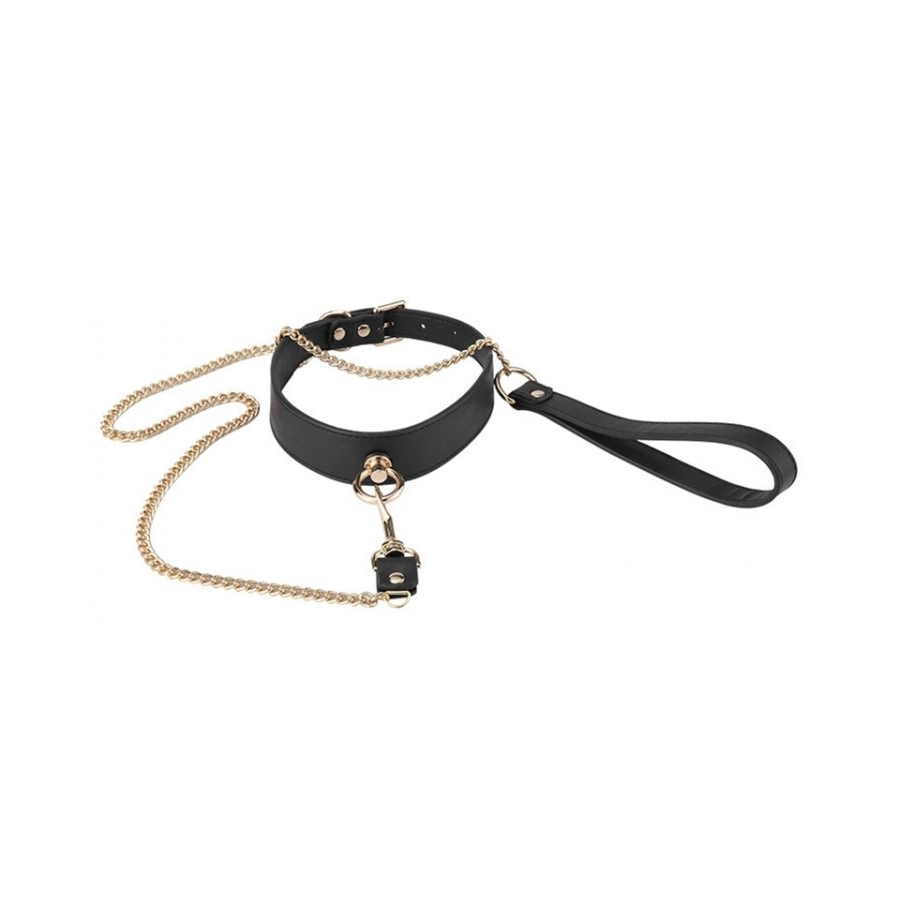 Generique Collier Laisse GOLDEN Noir 2 Generique Collier Laisse GOLDEN Noir – Image 2