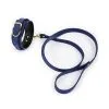 Generique Collier Laisse LIGHTY Bleu