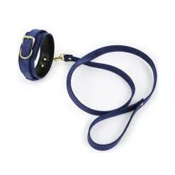 Generique Collier Laisse LIGHTY Bleu