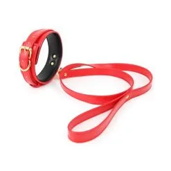 Generique Collier Laisse LIGHTY Rouge