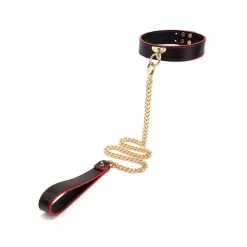 Generique Collier Laisse MAESTRO Noir Et Rouge