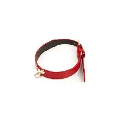 Collier-Laisse MASTER ME Rouge -FÉMINITÉS boutique collier laisse master me rouge 2