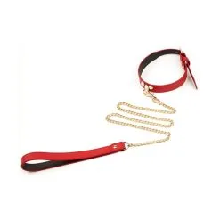 Collier-Laisse MASTER ME Rouge
