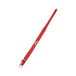 Collier-Laisse MASTER ME Rouge -FÉMINITÉS boutique collier laisse master me rouge 3