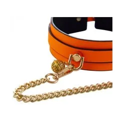 Generique Collier-Laisse Phosphorescent LUMINOUS Orange 5 Generique Collier-Laisse Phosphorescent LUMINOUS Orange -FÉMINITÉS boutique collier laisse phosphorescent luminous orange 2