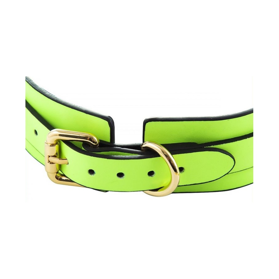 Generique Collier-Laisse Phosphorescent LUMINOUS Vert 3 Generique Collier-Laisse Phosphorescent LUMINOUS Vert – Image 3