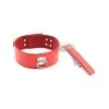 Generique Collier Laisse PIN LOCK Rouge