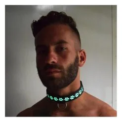 Collier Lumineux GLOW PUP Breedwell