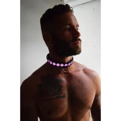 Collier Lumineux GLOW PUP Breedwell -FÉMINITÉS boutique collier lumineux glow pup breedwell 3