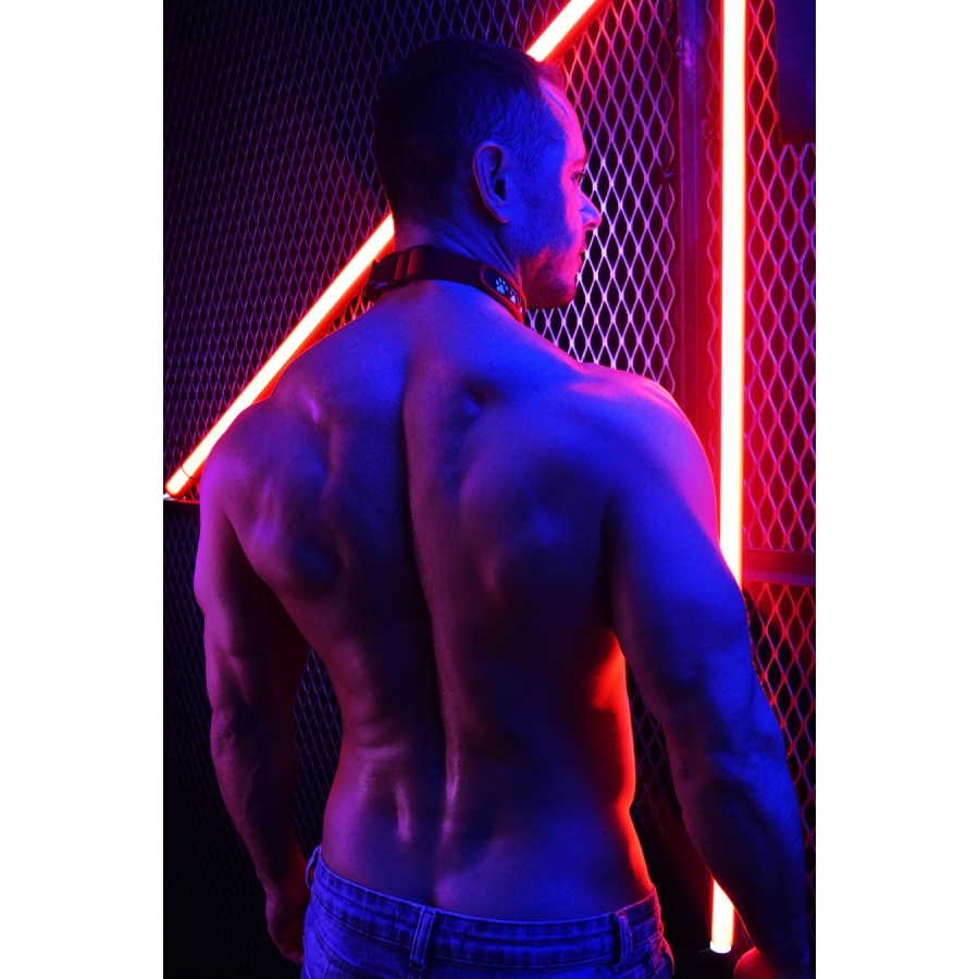 Breedwell Collier Lumineux POUNDTOWN Rouge 4 Breedwell Collier Lumineux POUNDTOWN Rouge – Image 4