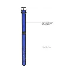 Ouch! Puppy Play Collier Néoprène OUCH PUPPY Bleu 10 Ouch! Puppy Play Collier Néoprène OUCH PUPPY Bleu -FÉMINITÉS boutique collier neoprene ouch puppy bleu 4