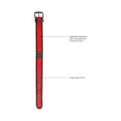 Ouch! Puppy Play Collier Néoprène OUCH PUPPY Rouge 9 Ouch! Puppy Play Collier Néoprène OUCH PUPPY Rouge -FÉMINITÉS boutique collier neoprene ouch puppy rouge 4