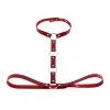 Kinky Party Collier Sm + Ceinture BELT STRICT Rouge