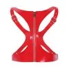 Kinky Party Corset Sm Vinyle Rouge