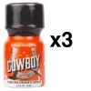 BGP Leather Cleaner COWBOY 10ml X3