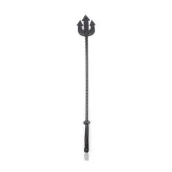 Correct Me Cravache TRIDENT 65cm Noire
