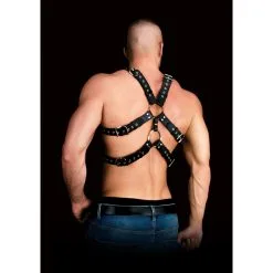 Ouch! Harness Harnais Andreas -FÉMINITÉS boutique harnais andreas 2