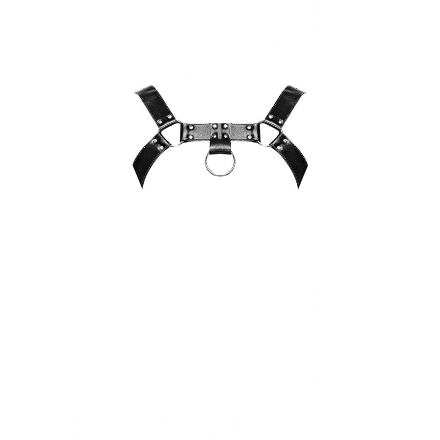 Harnais ARIES Male Power 4 Harnais ARIES Male Power – Image 4