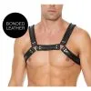 Ouch! Harness Harnais BUCKLE BULLDOG Noir