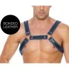 Ouch! Harness Harnais BUCKLE BULLDOG Noir-Bleu