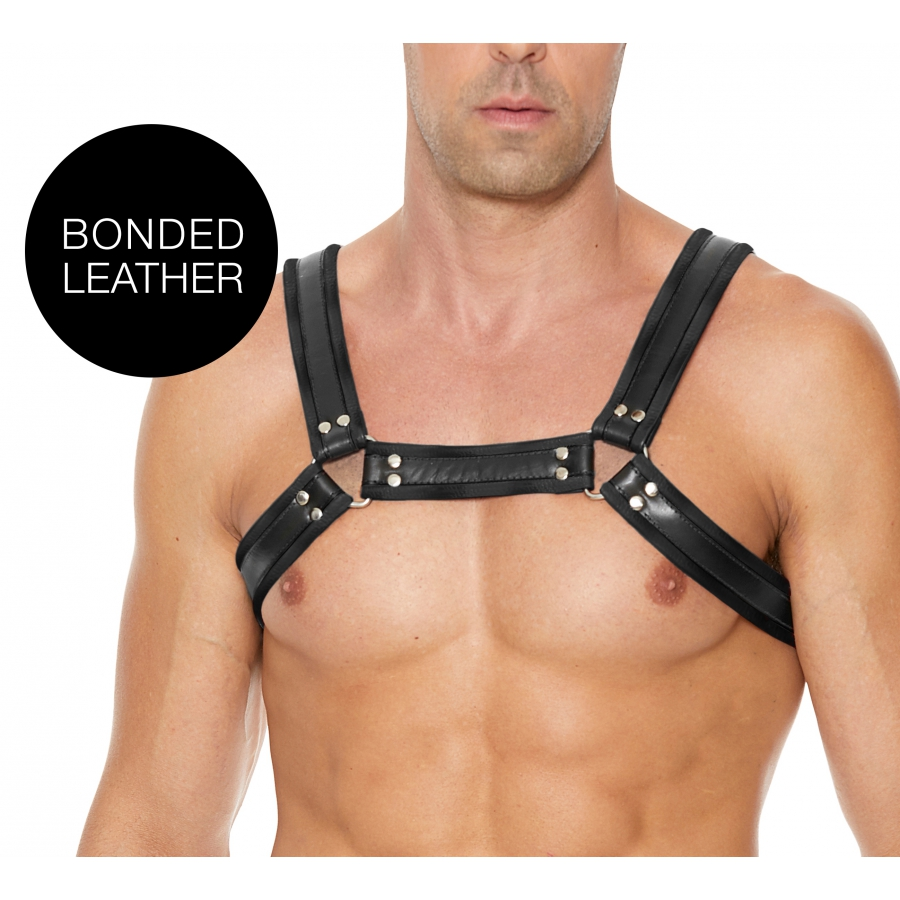 Ouch! Harness Harnais BUCKLE BULLDOG Noir 1 Ouch! Harness Harnais BUCKLE BULLDOG Noir