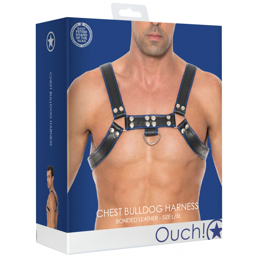 Ouch! Harness Harnais CHEST BULLDOG Noir-Bleu 2 Ouch! Harness Harnais CHEST BULLDOG Noir-Bleu – Image 2