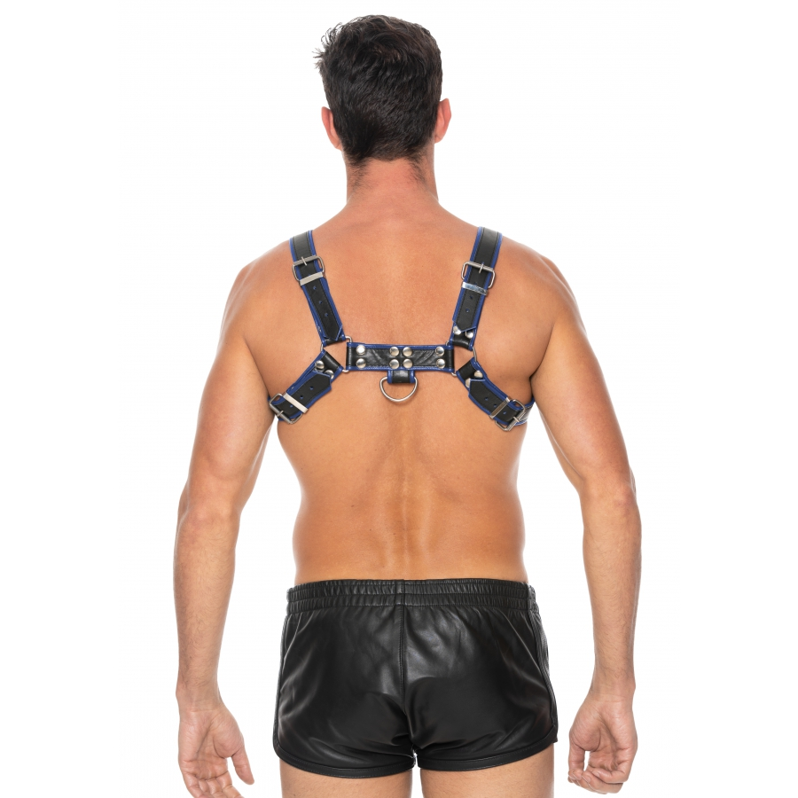 Ouch! Harness Harnais CHEST BULLDOG Noir-Bleu 5 Ouch! Harness Harnais CHEST BULLDOG Noir-Bleu – Image 5
