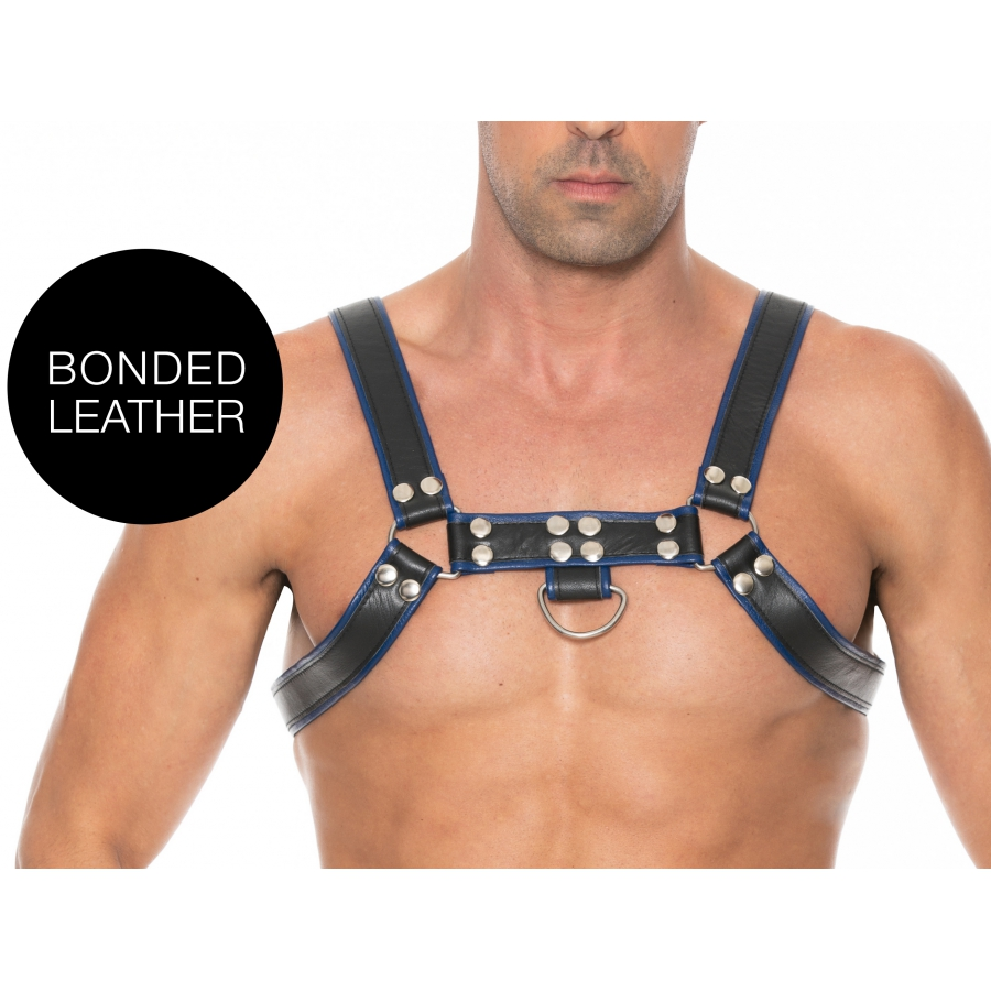 Ouch! Harness Harnais CHEST BULLDOG Noir-Bleu 1 Ouch! Harness Harnais CHEST BULLDOG Noir-Bleu