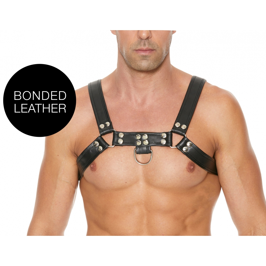 Ouch! Harness Harnais CHEST BULLDOG Noir 1 Ouch! Harness Harnais CHEST BULLDOG Noir