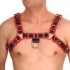The Red Harness Harnais En Cuir Noir-Rouge