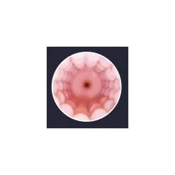 Manchon Vaginal MAX Lovense -FÉMINITÉS boutique manchon vaginal max lovense 3