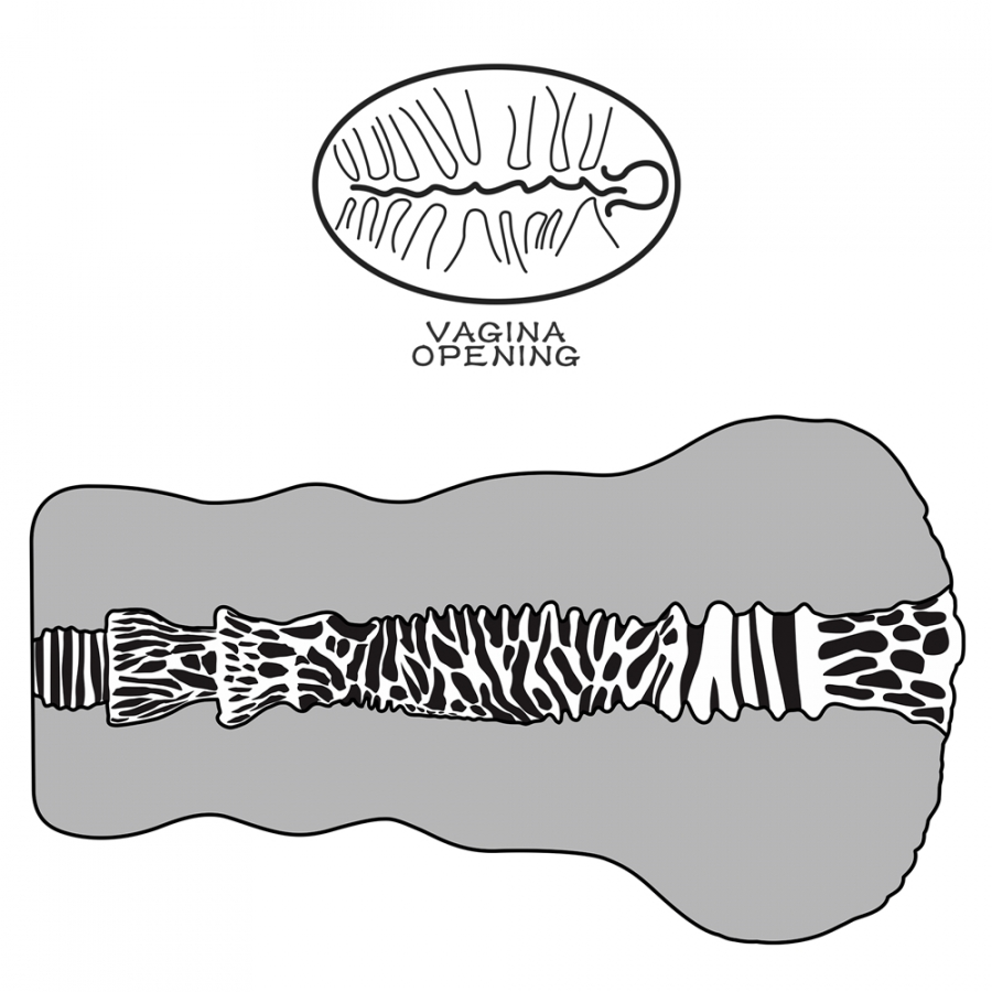 Lovetoy Masturbateur Pussy ALIEN'S PIE N°2 2 Lovetoy Masturbateur Pussy ALIEN'S PIE N°2 – Image 2