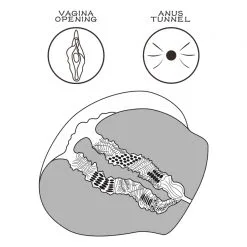 LoveToy Alien's Pie Masturbateur Pussy STREETGIRL N°13 Vagin-Anus -FÉMINITÉS boutique masturbateur pussy streetgirl n13 vagin anus 3