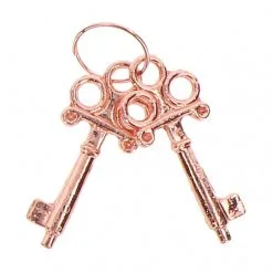 Toy Joy Menottes En Métal FUN CUFFS Roses 7 Toy Joy Menottes En Métal FUN CUFFS Roses -FÉMINITÉS boutique menottes en metal fun cuffs roses 3