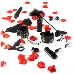 TOYJOY Just For You Pack AMAZING PLEASURE 10 Sextoys