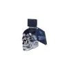 FL Leather Cleaner QUICK SILVER SKULL 25ml