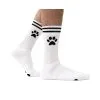 Sk8erboy Socks PUPPY Sk8terboy
