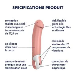 Satisfyer Vibro Master -FÉMINITÉS boutique vibro master 2
